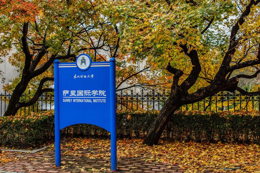 萨里国际学院校友中心